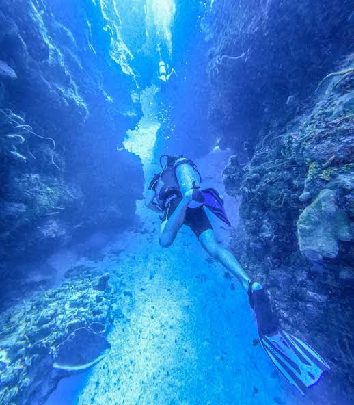 Diver finning through a sunlit reef canyon