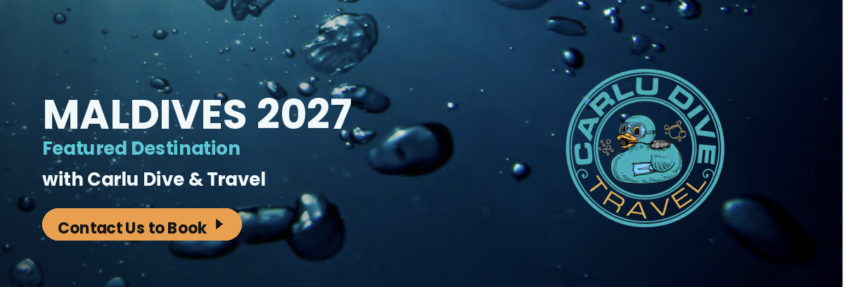 Carlu Dive & Travel — Maldives 2027